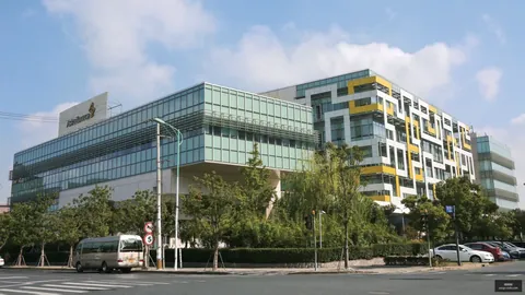 探索之旅：羁绊终极指南，归属之谜